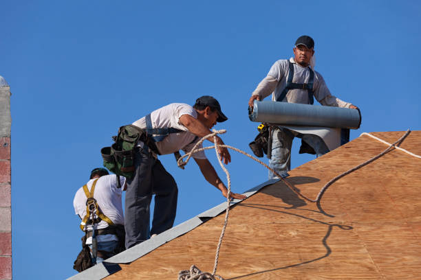 Professional Roofing Contractor in Nashville, MI